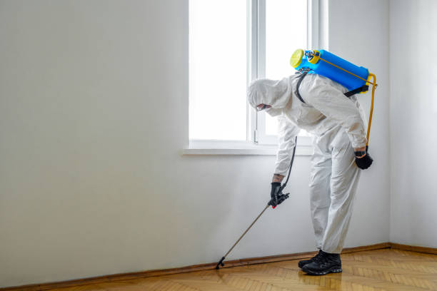 Best Emergency Pest Control  in Sugarcreek, PA