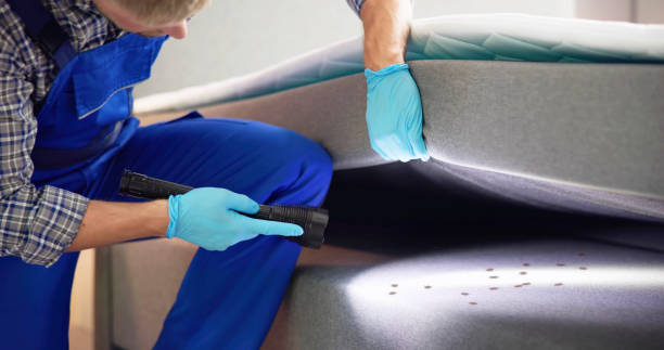 Best Flea Control Services  in Sugarcreek, PA