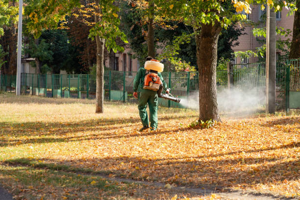 Best Pest Removal Services  in Sugarcreek, PA