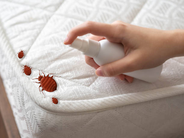 Best Pest Removal Services  in Sugarcreek, PA