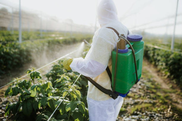Professional Pest Control in Sugarcreek, PA